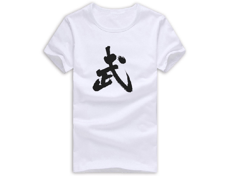 Kung Fu T-shirt